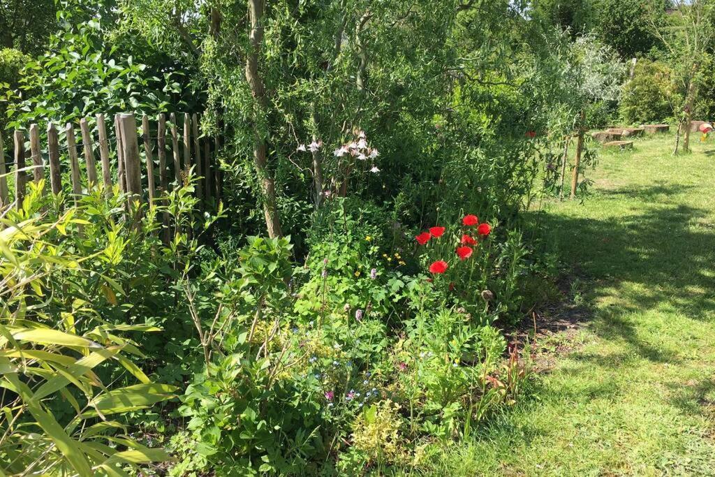 Unterkunft Am Hang Eutin Dış mekan fotoğraf